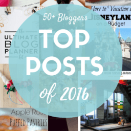 TOP-POSTS-OF-2016-2-256x256 TOP-POSTS-OF-2016-2-256x256 post Top Posts of 2016 TOP POSTS OF 2016 2 256x256