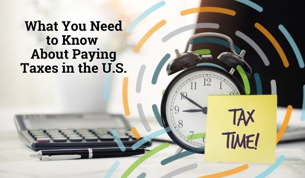 What You Need to Know About Paying Taxes